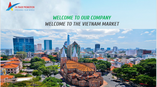 Our 6 channels to expand your business into Vietnam market.