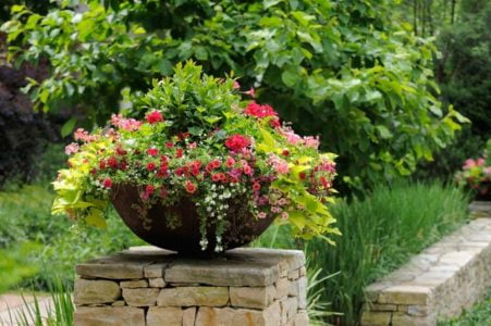 Looking for Australian Flower Pots Distributor