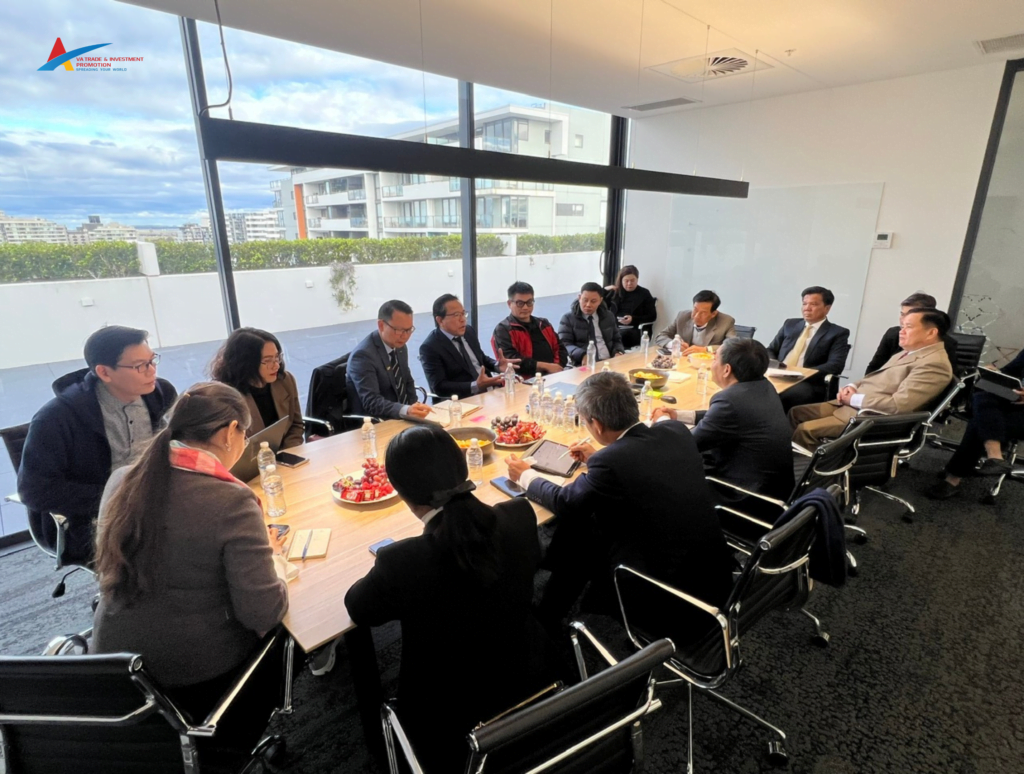 The leadership delegation from Dong Thap province, the Vietnamese Business Association in Sydney, and Australian businesses exchanged views during the working session