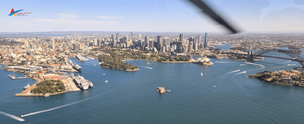 Admiring Sydney from Above